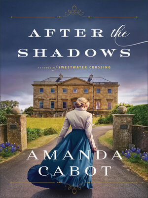 cover image of After the Shadows